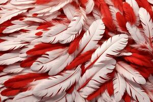 Red Feather Background, Feather Wallpaper, Feathers Background, Fluffy Feather Texture, Feather Pattern, Feather Texture, Fur Texture, AI Generative photo