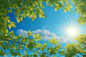 leaves against blue sky with bright sunshine, sunny sky background, sun and leaves wallpaper, natural background, AI Generative photo