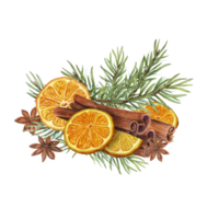 Dry orange slice, cinnamons sticks, star anise and spruce branch. Citrus, evergreen, spice, badian. Watercolor botanical illustration. Winter composition for the design of cards, package png