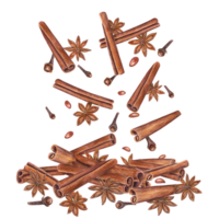 Cinnamons sticks, star anise, dried cloves. Badian, seeds. Winter aromatic spices for hot drinks and Xmas baking. Botanical watercolor illustration for package design, label, logo png