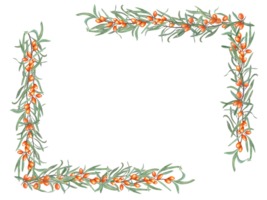Rectangle frame with Sea buckthorn branches. Sandthorn, sallowthorn. Orange berries, green leaves. Watercolor illustration for postcard, invitation template, birthday, package, cosmetic design png