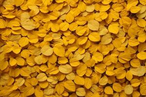 Yellow Leaves Background, Leaves Background, Leaves Wallpaper, Leaves Pattern, Fallen leaves Background, Colorful Leaves Background, AI Generative photo