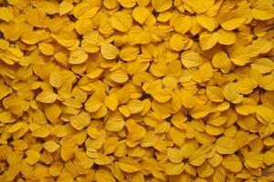 Yellow Leaves Background, Leaves Background, Leaves Wallpaper, Leaves Pattern, Fallen leaves Background, Colorful Leaves Background, AI Generative photo