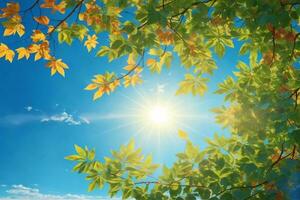 leaves against blue sky with bright sunshine, sunny sky background, sun and leaves wallpaper, natural background, AI Generative photo