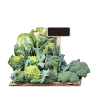 mand van broccoli variëteiten Aan weergave- png