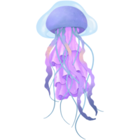Blue jellyfish that looks swaying png