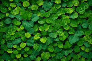 verde hojas fondo, naturaleza hojas fondo de pantalla, hojas fondo, hojas fondo de pantalla, ai generativo foto
