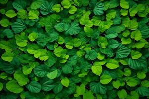 Green Leaves Background, Nature Leaves Wallpaper, Leaves Background, Leaves Wallpaper, AI Generative photo