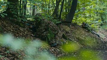 Sniper Masked by Foliage Setting Up on the Ground by the Tree video