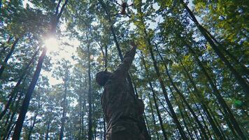 un' soldato rilasci il fuco a partire dal il suo mano nel il foresta video