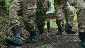 Militär- Kader trägt Munition durch das Wald video