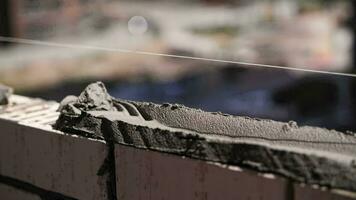 A builder lays bricks at a construction site, a close-up of the worker hands. video