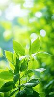 cerca arriba de verde hoja en un jardín a verano debajo luz de sol con borroso antecedentes. generativo ai foto