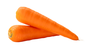 Two fresh orange carrots in stack isolated with clipping path in png file format, Close up of healthy vegetable root with full focus