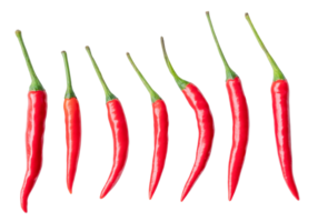 superiore Visualizza impostato di fresco rosso chili o pepers isolato con ritaglio sentiero nel png file formato. caldo spezie