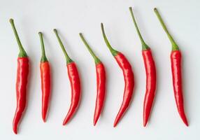 Top view set of fresh red chili or peppers isolated on white background with clipping path. Hot spices photo