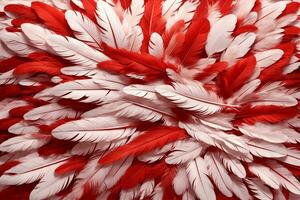 Red Feather Background, Feather Wallpaper, Feathers Background, Fluffy Feather Texture, Feather Pattern, Feather Texture, Fur Texture, AI Generative photo