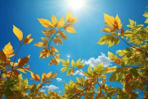 leaves against blue sky with bright sunshine, sunny sky background, sun and leaves wallpaper, natural background, AI Generative photo