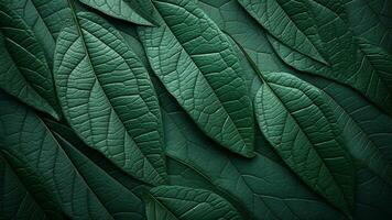 Luxury Leaf Texture Designs with Opulent Foliage Patterns, AI Generative photo