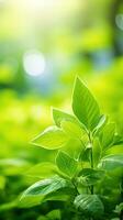 Close up of green leaf in a garden at summer under sunlight with blurred background. Generative AI photo