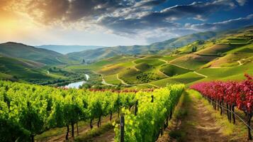 wine beauty environment green landscape ai generated photo