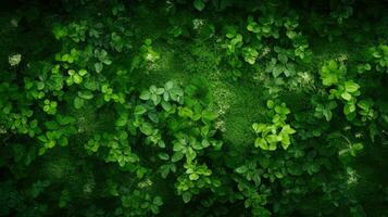 verdant natural green fresh top view ai generated photo