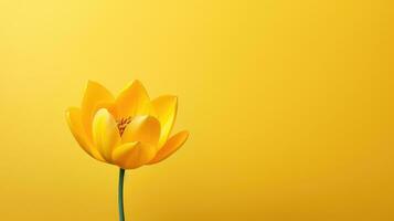 spring yellow flower background artful ai generated photo