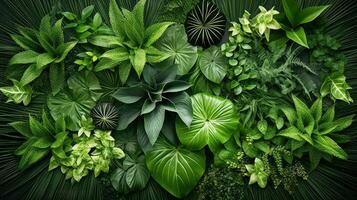 nature concept plant leaf top view ai generated photo