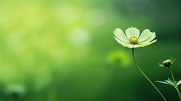 beautiful green flower background minimalist ai generated photo