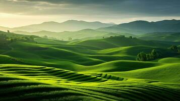 grass land beautiful green landscape ai generated photo