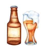 Watercolor illustration of a glass mug and bottle with beer and foam. Harvest festival, Oktoberfest beer festival. Compositions for posters, cards, banners, flyers, covers, playbills and other print png