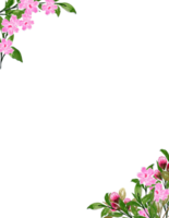 Aquarell Rahmen Clip Art. Blumen- Rahmen mit Rosa Blume und Blätter Geäst Hand gemalt png