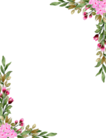 waterverf bloemen kader met roze bloemen en bladeren hand- geschilderd. voorjaar bloem illustratie png