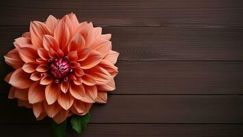 Beautiful Dahlia Flower on Wood Background with Copy Space, AI Generative photo