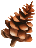 Acorn in Christmas. Generative AI. png