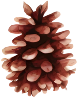 Acorn in Christmas. Generative AI. png