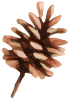 Acorn in Christmas. Generative AI. png