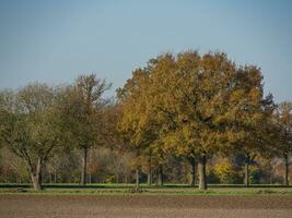 otoño tiempo en el alemán münsterland foto