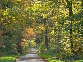 otoño tiempo en el alemán münsterland foto