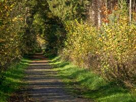 autumn timen in the german muensterland photo