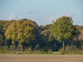 autumn timen in the german muensterland photo