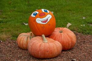 pumpkins in germany photo