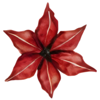 Red leaf in autumn. Generative AI png