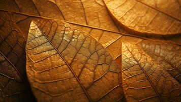 Luxury Leaf Texture Designs with Opulent Foliage Patterns, AI Generative photo