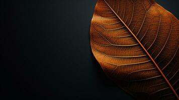 Luxury Leaf Texture Designs with Opulent Foliage Patterns, AI Generative photo