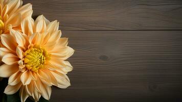 Chrysanthemum Flower on Wood Background with Copy Space, AI Generative photo