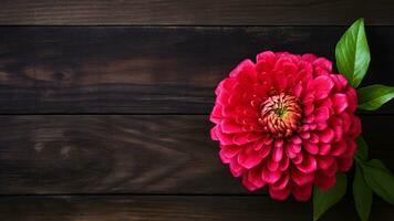 Zinnia Elegans Flower on Wood Background with Copy Space, AI Generative photo