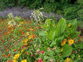 Flowers at the city of Papenburg photo