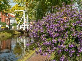 Papenburg city in germany photo