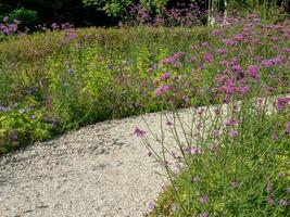 beautifull garden in papenburg photo